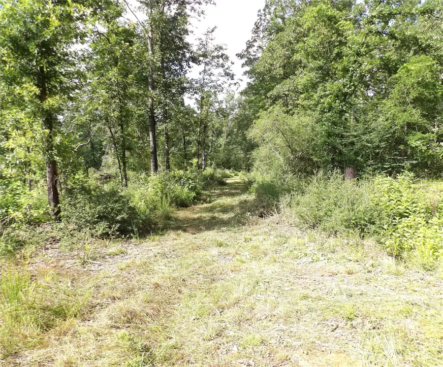 TBD Fsr 536, Kennard, TX 75847 - Image #3