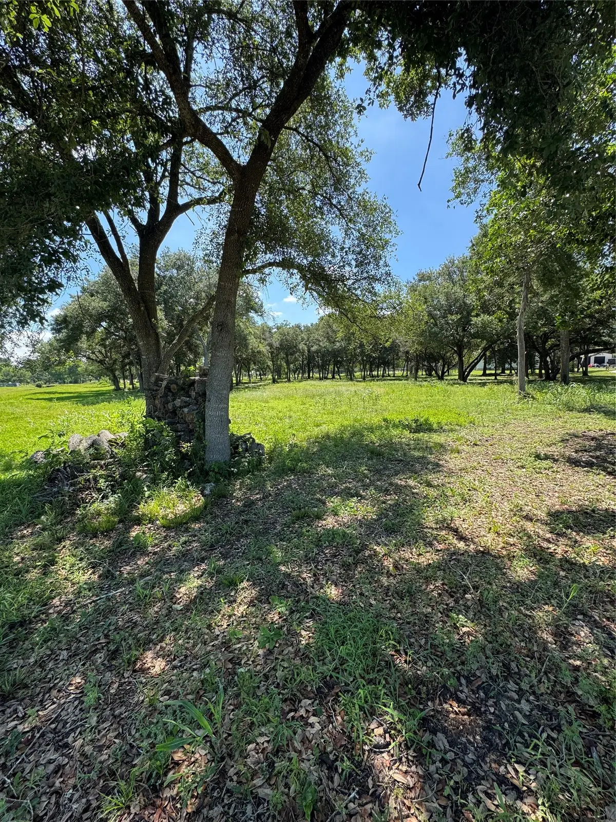 2607 Whispering Pine Drive, Alvin, TX 77511 - #1