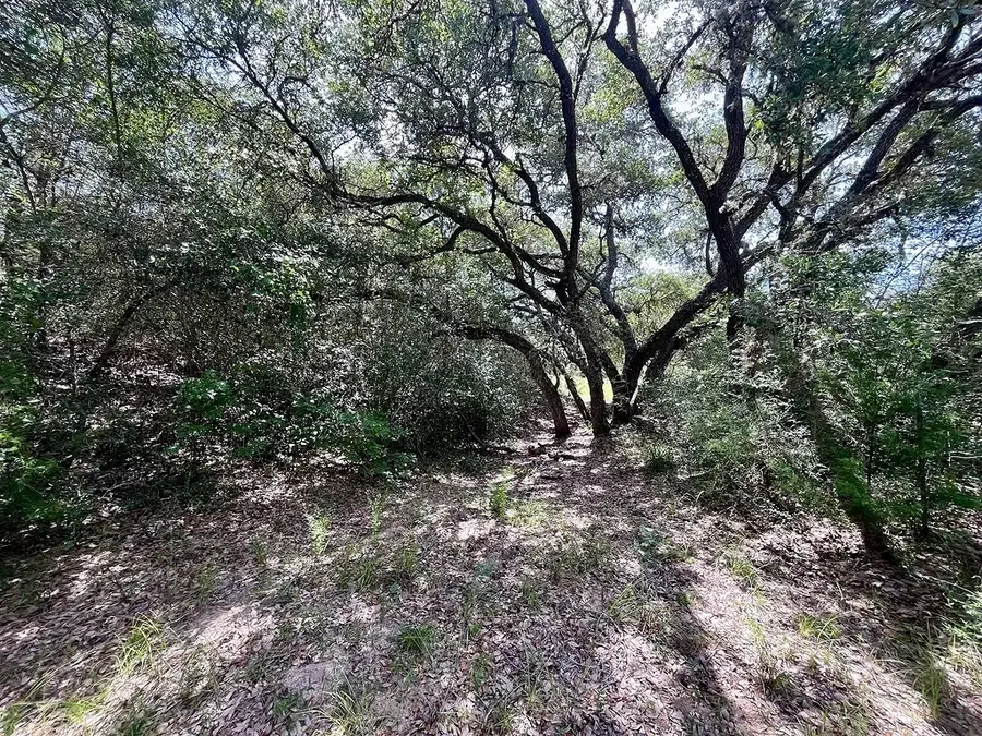 TBD Hwy 90a, Sheridan, TX 77475 - Image #2