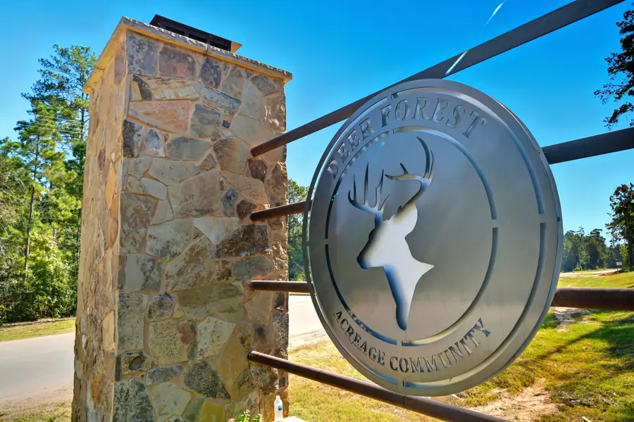 11518 Bramble Court, Willis, TX 77378 - Image #2