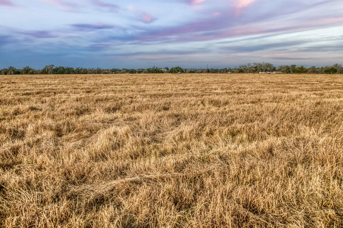 10444 County Road 318, Caldwell, TX 77836 - #1