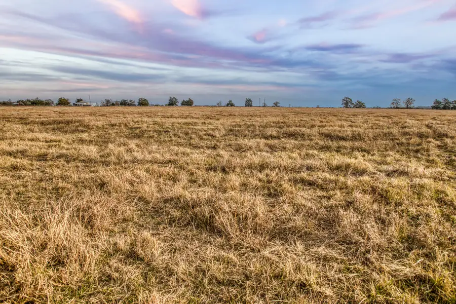 10444 County Road 318, Caldwell, TX 77836 - #2