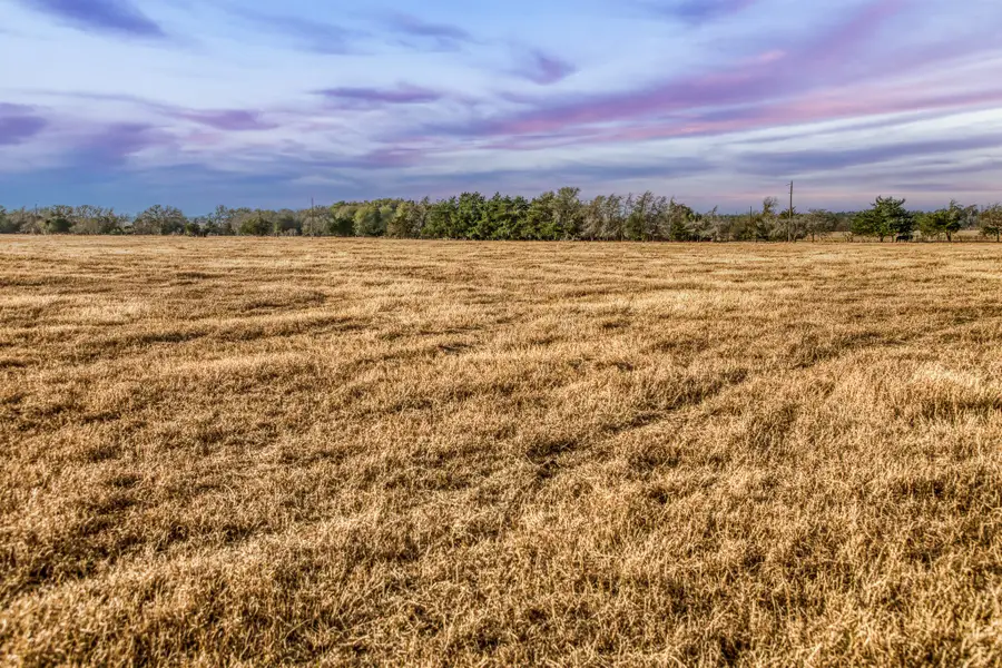 10444 County Road 318, Caldwell, TX 77836 - #3