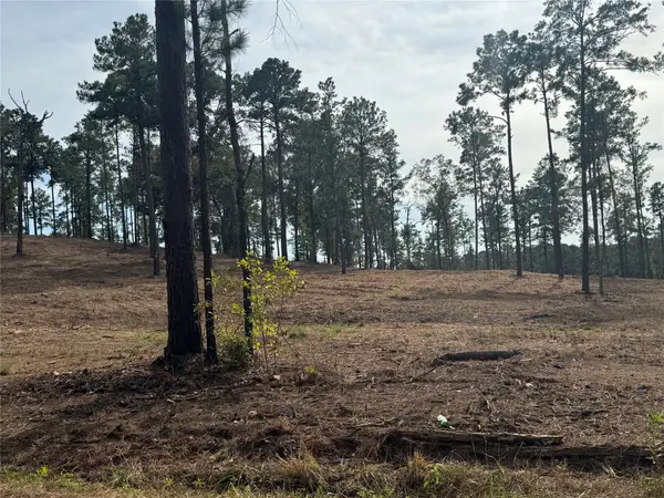 000896 County Road 219, Brookeland, TX 75931