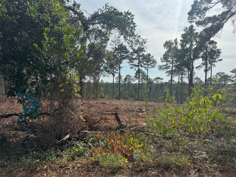 000896 County Road 219, Brookeland, TX 75931 - Image #2