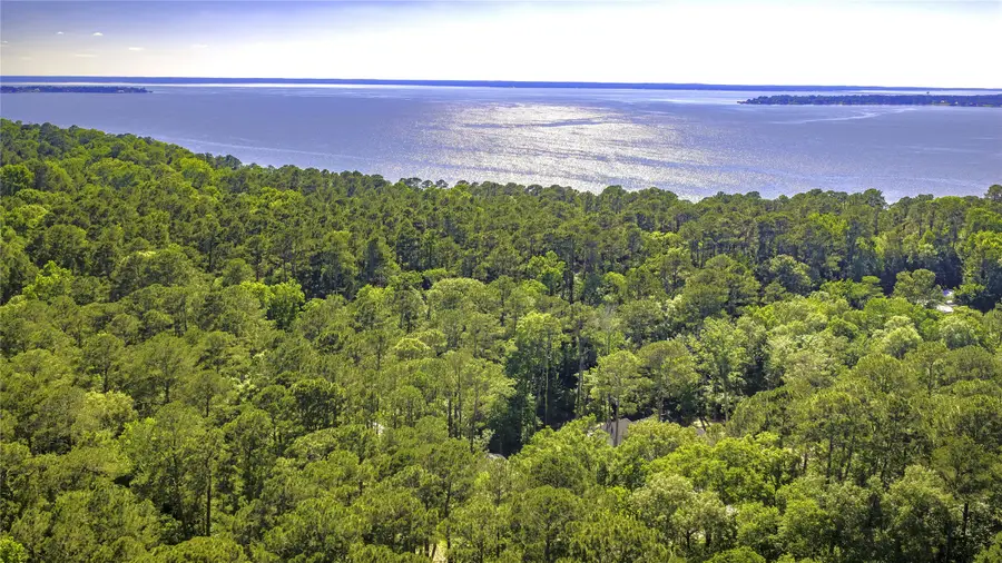 205 Tall Pine, Livingston, TX 77351 - #3