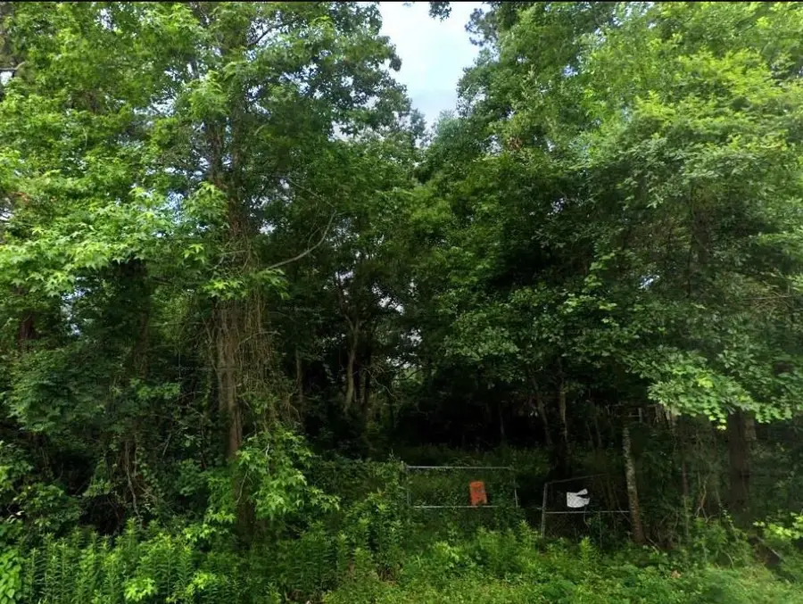 21208 Lyndall Lane, Porter, TX 77365 - #2