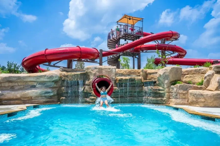 22646 Big Stump Drive, Porter, TX 77365 - #3