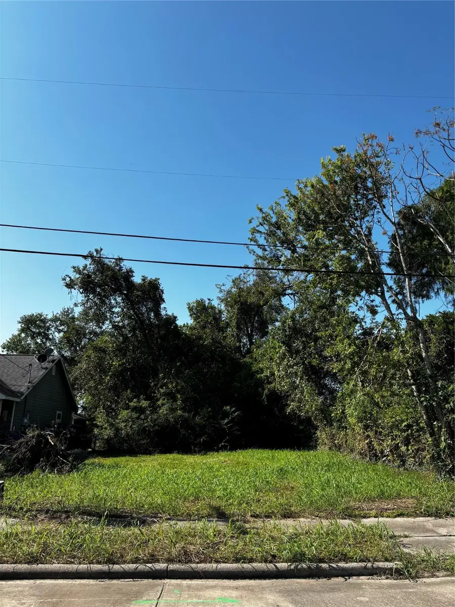 317 S Fulton Street, Texas City, TX 77591 - #3