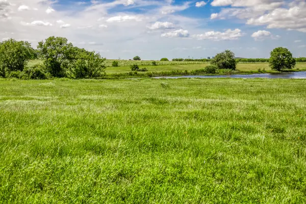 1070 Sledge Ct, Chappell Hill, TX 77426