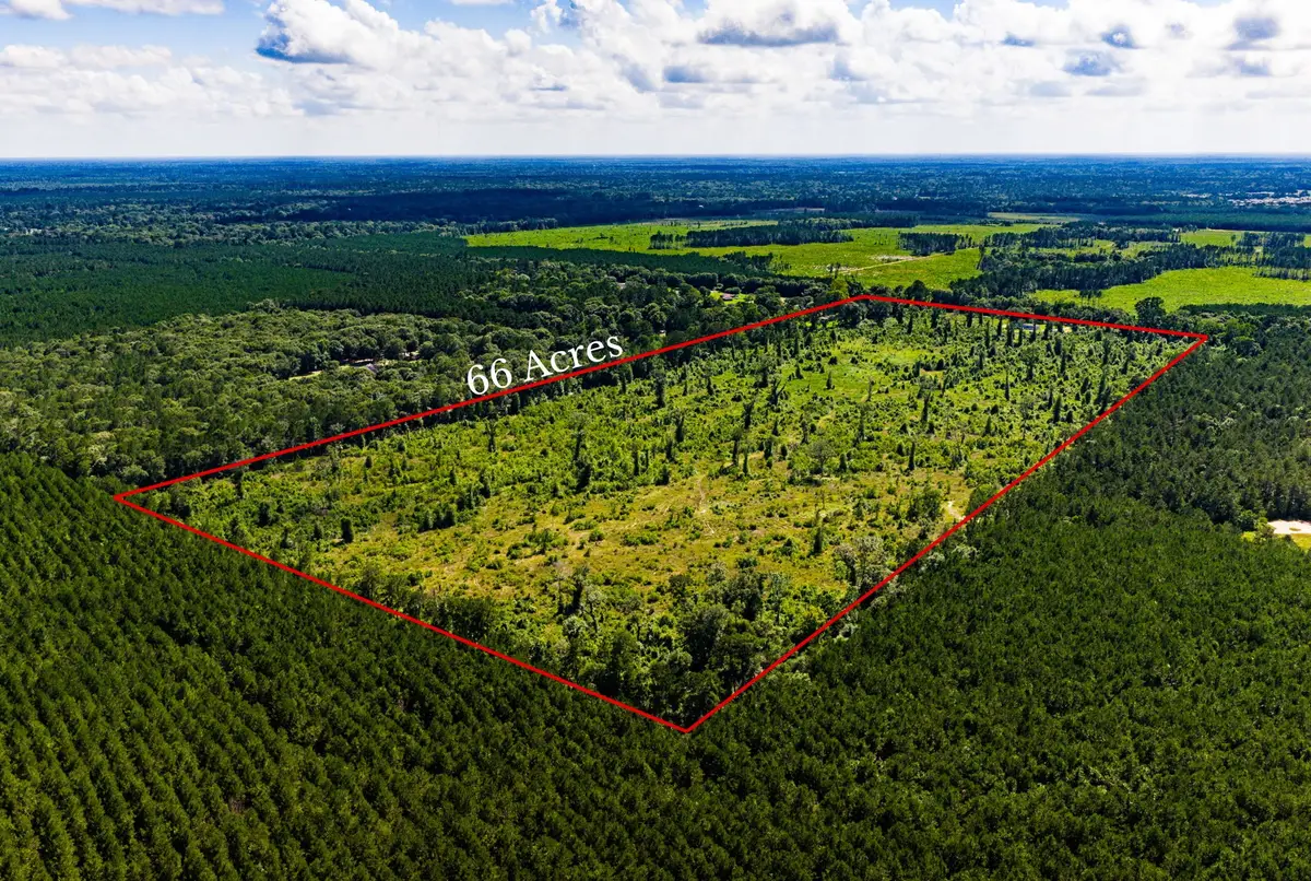 1947 County Road 2243, Cleveland, TX 77327 - #1