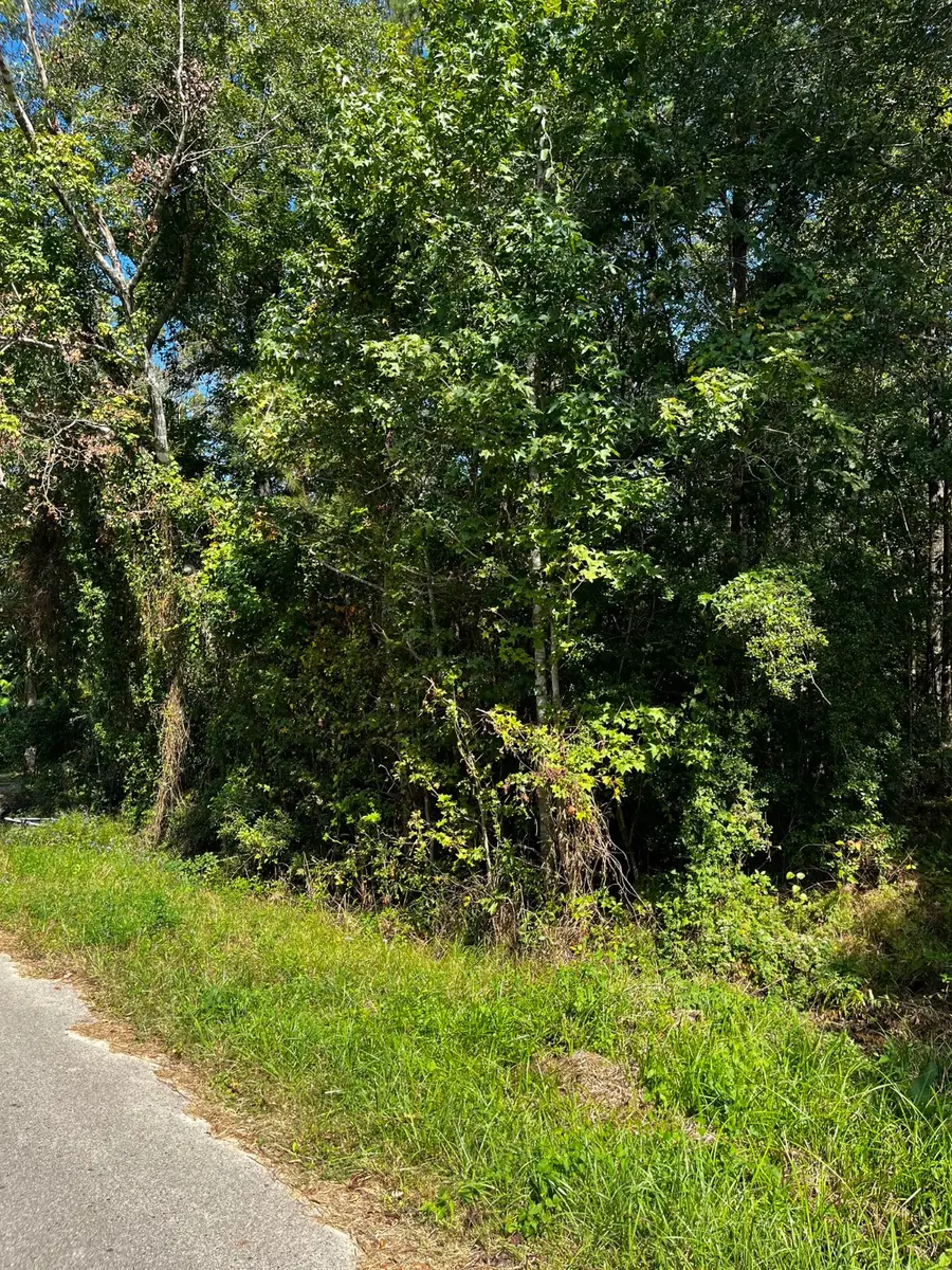 106 Indian Creek Circle, Willis, TX 77378 - Image #3