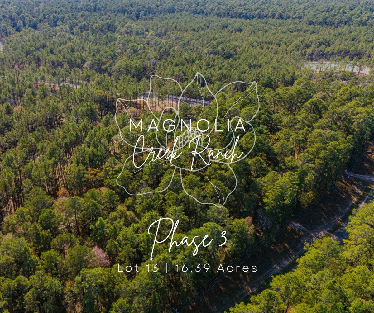 0313 King Ranch Road South, Onalaska, TX 77360 - #1