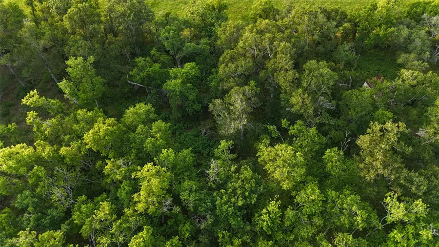 0 Brazos Avenue, Rosharon, TX 77583 - #3