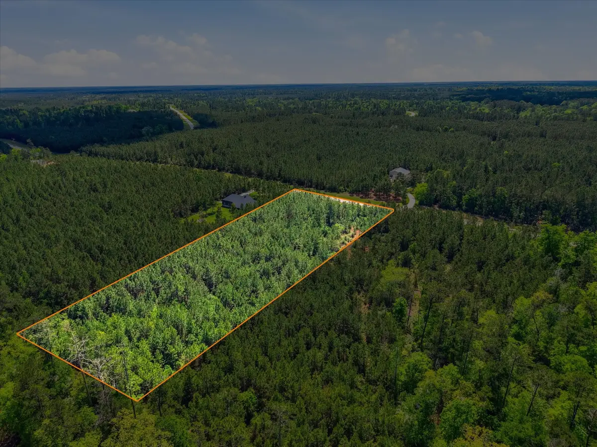 11997 High Branch Way, Willis, TX 77378 - #1