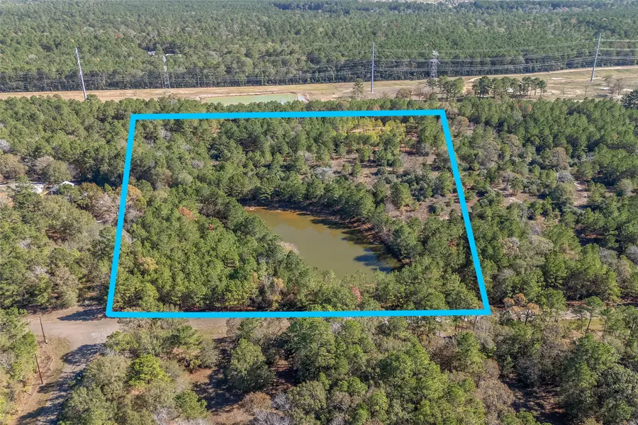 15715 Rustling Oak Lane, Plantersville, TX 77363 - Image #2