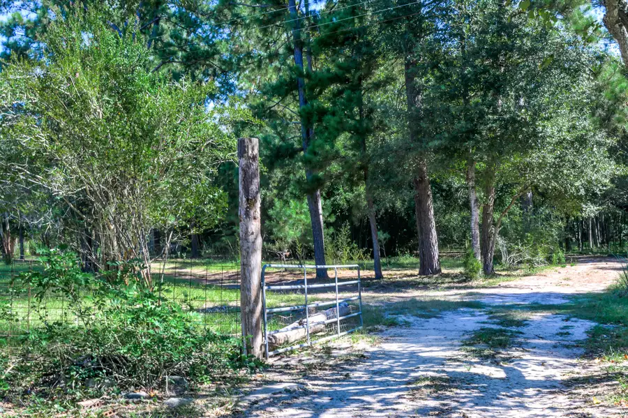 382 Sawmill Drive, Lovelady, TX 75851 - Image #3