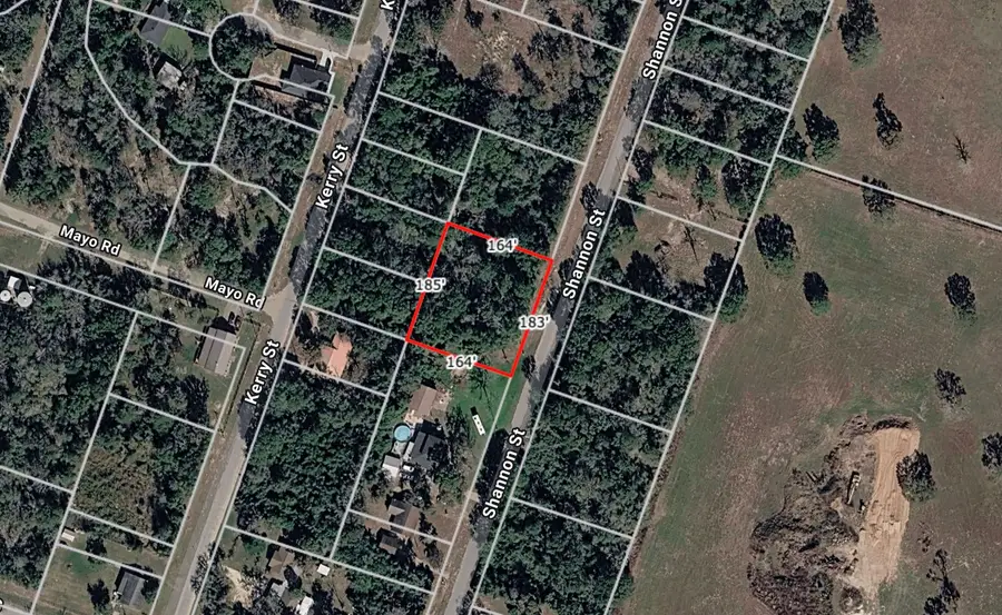 Lot 35 Shannon Street, Hempstead, TX 77445 - #2