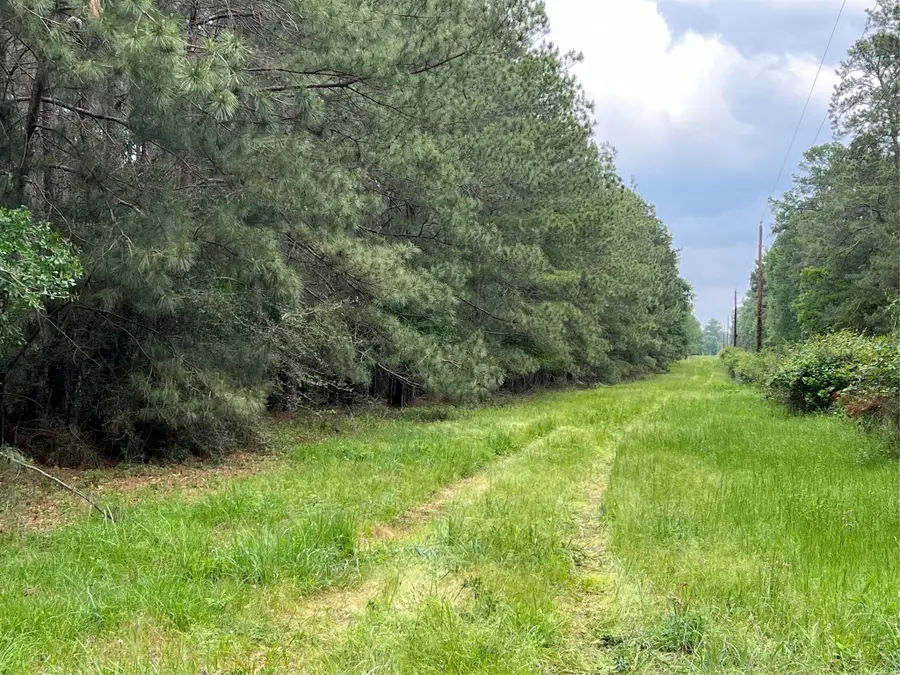 0020 English Rd Road, Bedias, TX 77831 - Image #3