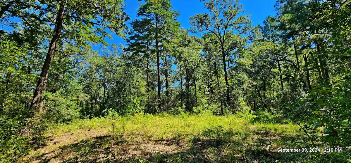 TBD Zed Creek Road, Lufkin, TX 75904 - Image #1