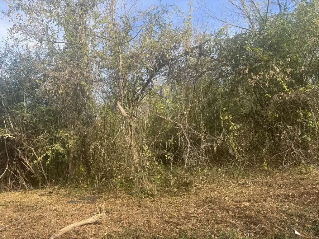 0 Walton Street, Palestine, TX 75801 - Image #1