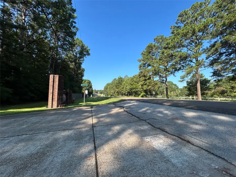 LOT 16 Force Street, Woodville, TX 75979 - Image #2