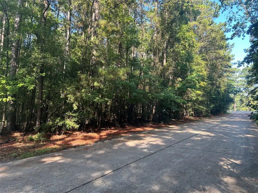 LOT 16 Force Street, Woodville, TX 75979 - Image #3