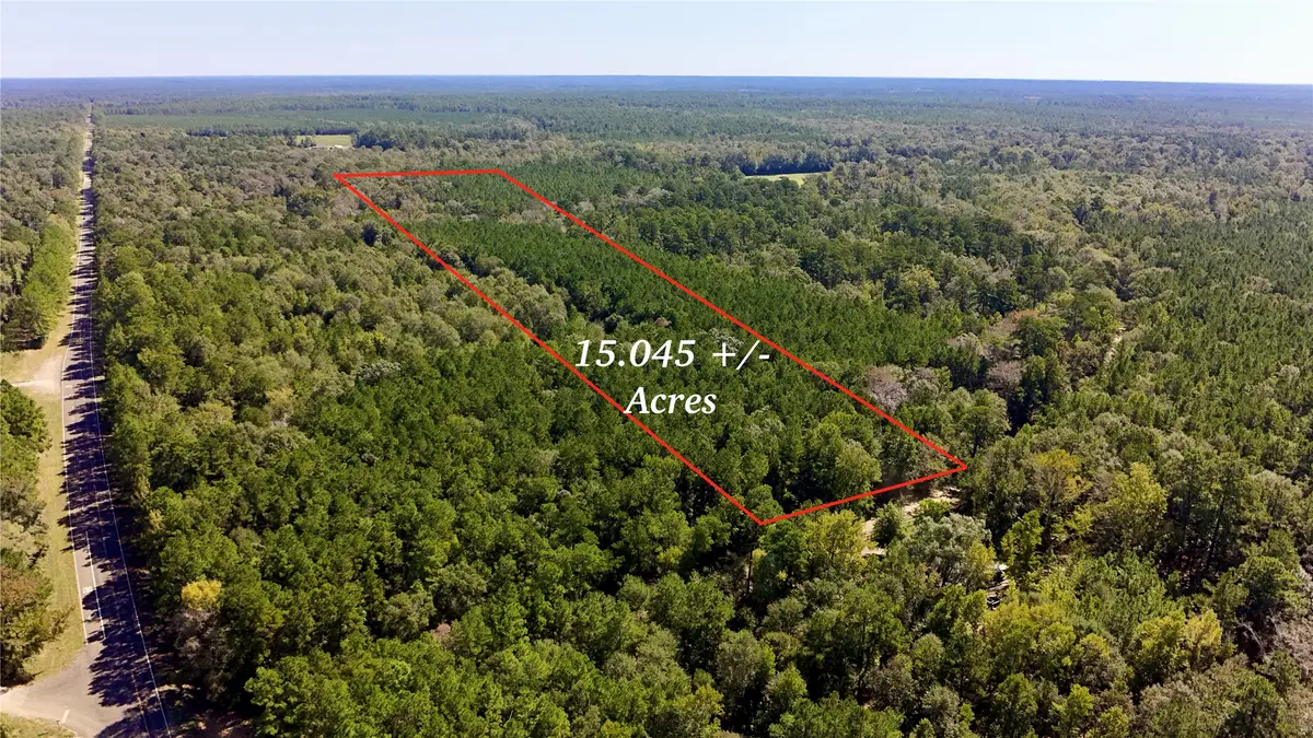 TBD County Road 1058, Wiergate, TX 75977 - #1