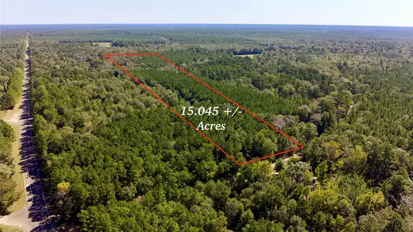 TBD County Road 1058, Wiergate, TX 75977