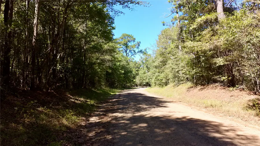 TBD County Road 1058, Wiergate, TX 75977 - #2