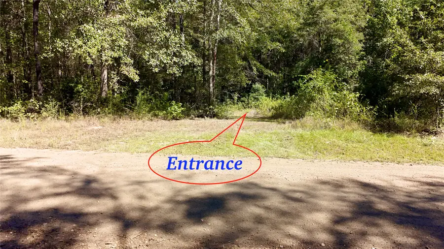 TBD County Road 1058, Wiergate, TX 75977 - #3