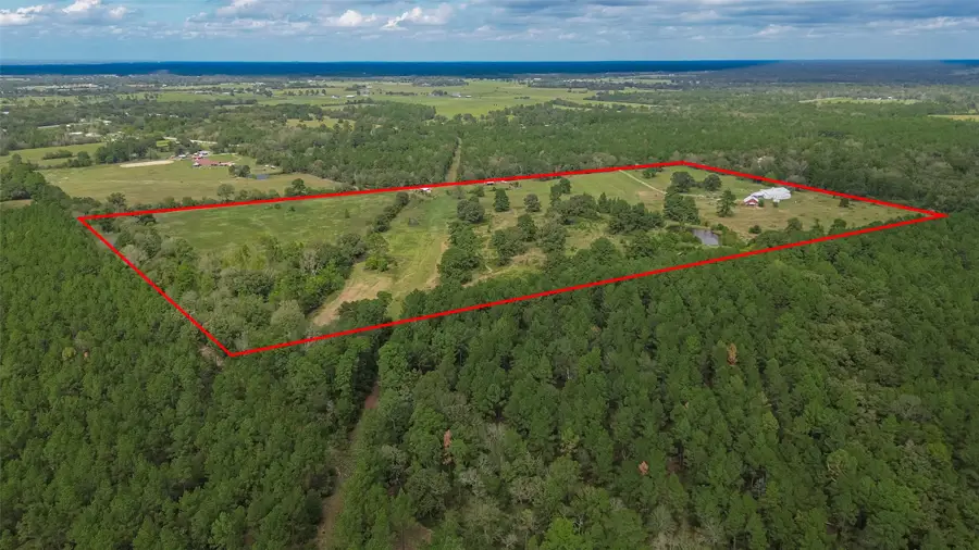 382 Hinson Road, Lovelady, TX 75851 - #3