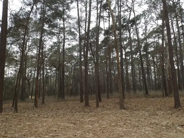 24018 Crooked Creek, Hockley, TX 77447