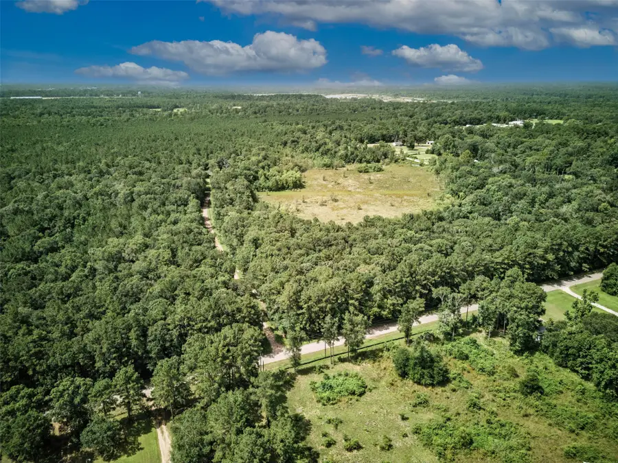 TBD Campbell Acres Road, Shepherd Evergreen, TX 77328 - Image #2