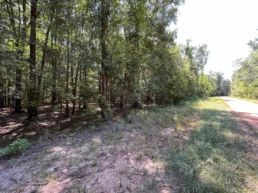 TBD Campbell Acres Road, Shepherd Evergreen, TX 77328 - Image #3