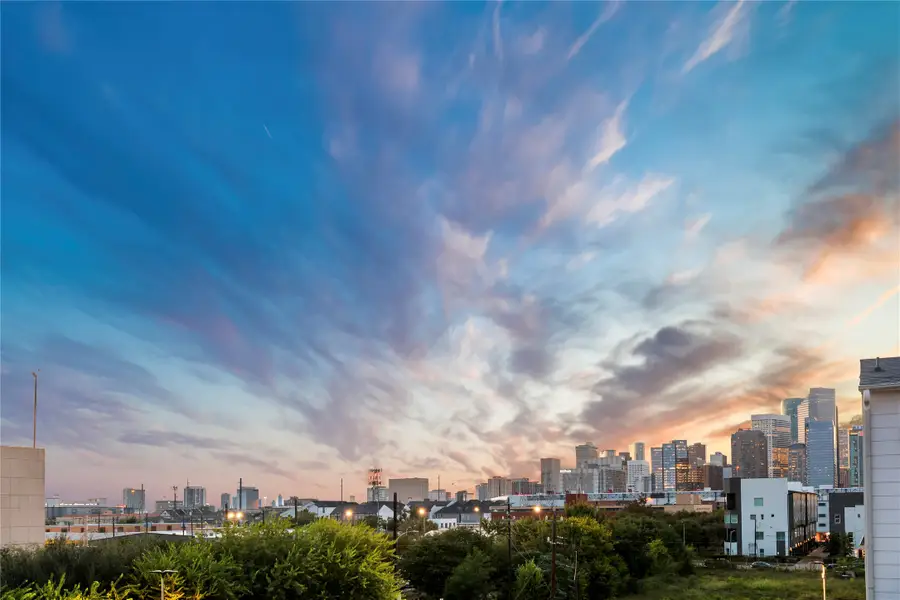 808 Paige Street, Houston, TX 77003 - #2