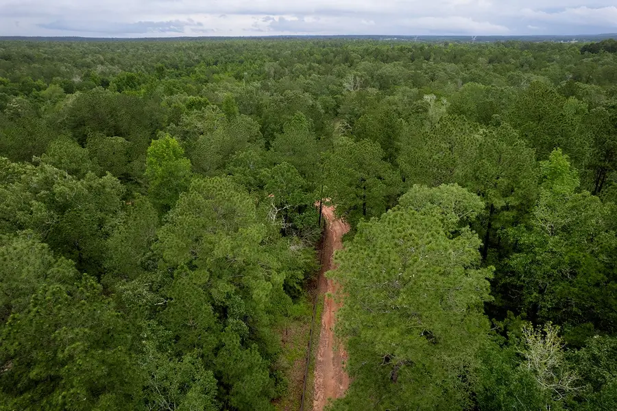 TBD Saratoga Woods Drive, Montgomery, TX 77316 - #2