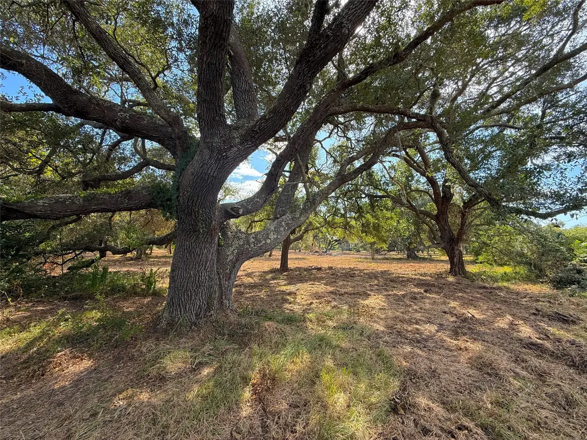 Lot 1 S F Austin, Freeport, TX 77541 - #1