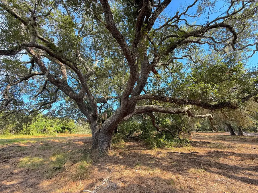 Lot 1 S F Austin, Freeport, TX 77541 - #2