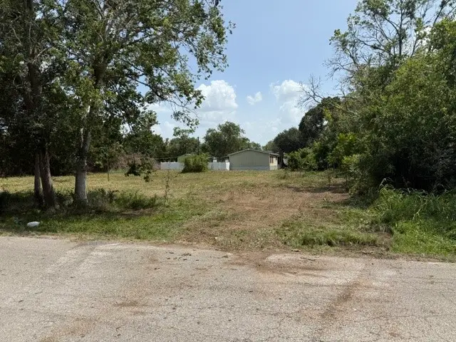 0 Washington, Hempstead, TX 77445 - #3