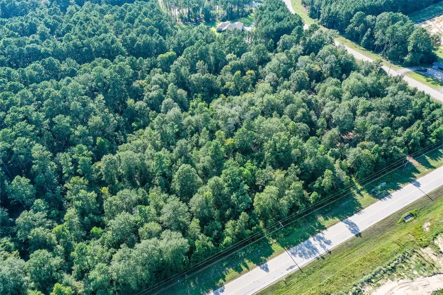 000 Dipping Vat Road, New Waverly, TX 77358 - Image #3