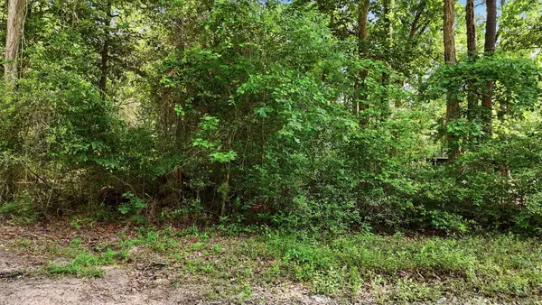 164 Road 2699, Cleveland, TX 77327