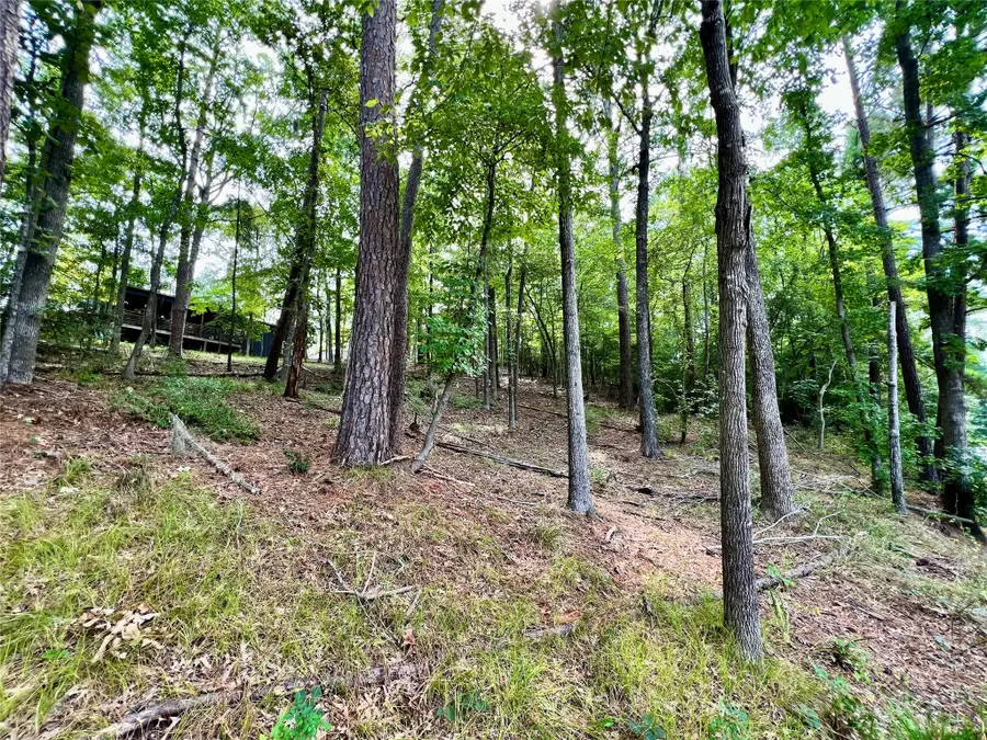 00 County Road 4921, Etoile, TX 75944 - Image #2