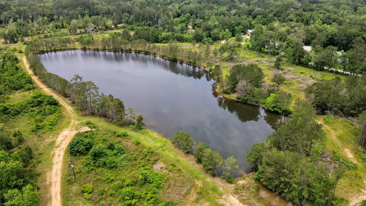 12520 Us-59 S, Shepherd, TX 77371 - #1