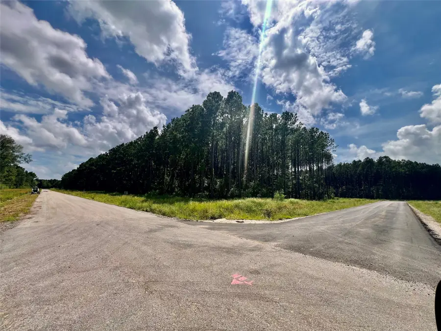 4445 Road 66122, Dayton, TX 77535 - #2