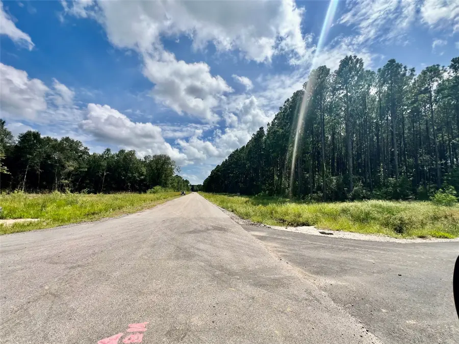 4445 Road 66122, Dayton, TX 77535 - #3