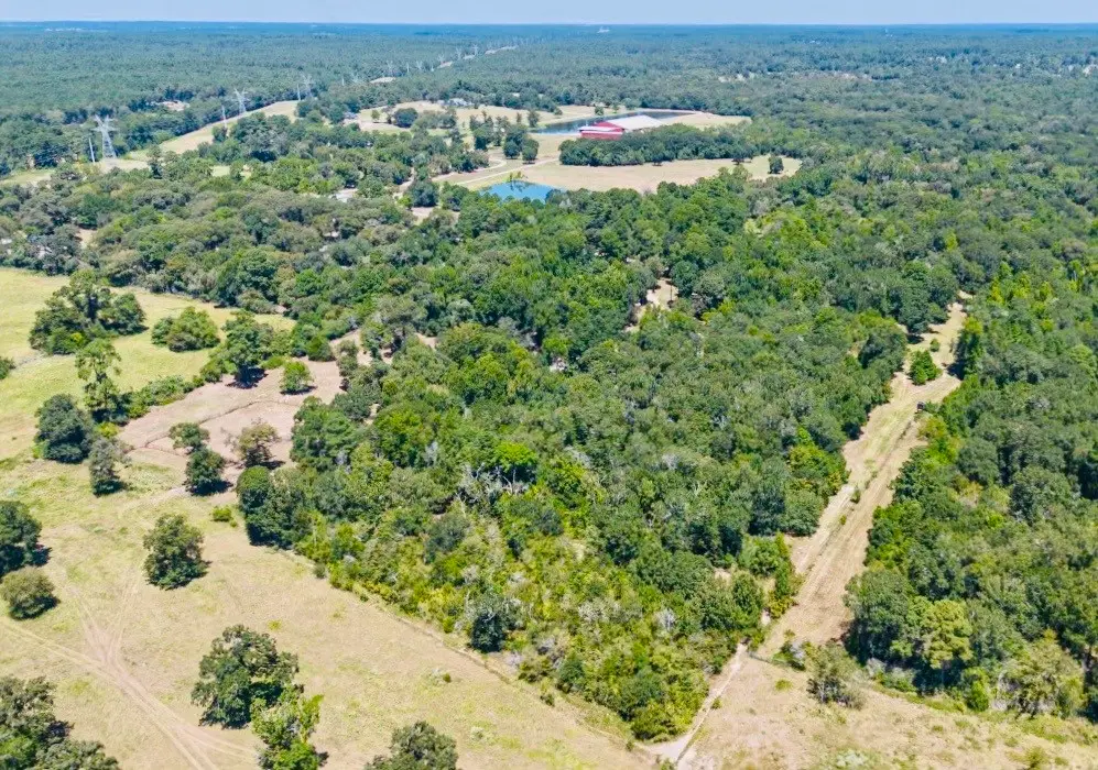 9846 Post Oak Cemetery Road, Montgomery, TX 77356 - #1