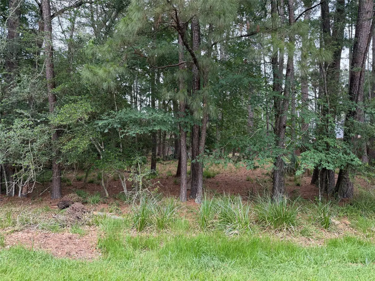 6 Stony Creek Drive, Conroe, TX 77384 - #1