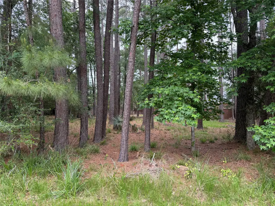 6 Stony Creek Drive, Conroe, TX 77384 - #2