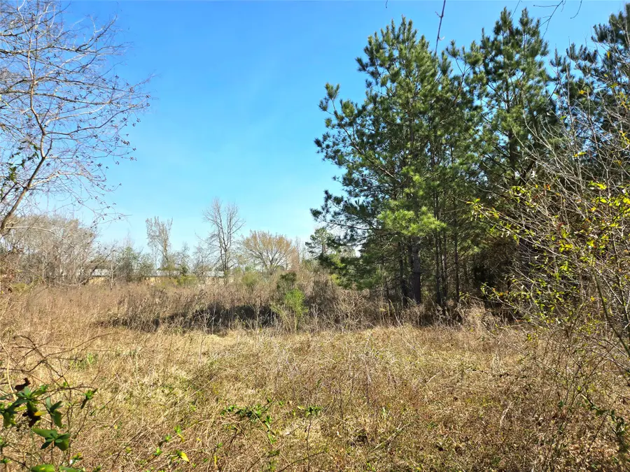 205 Tanner Street, Cleveland, TX 77575 - #3